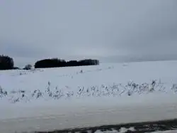 Zdjęcie 1