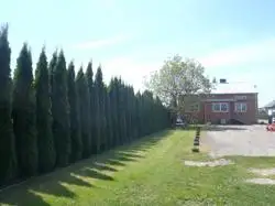Zdjęcie 1