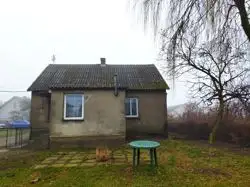 Zdjęcie 1
