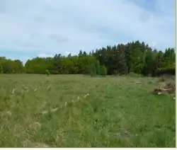 Zdjęcie 1