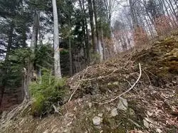 Zdjęcie 1