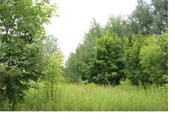 Zdjęcie 1