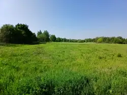 Zdjęcie 1