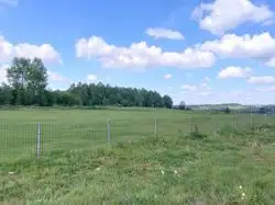 Zdjęcie 1