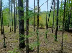 Zdjęcie 1