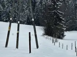 Zdjęcie 1