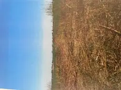 Zdjęcie 1
