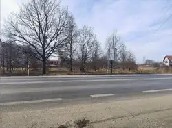 Zdjęcie 1