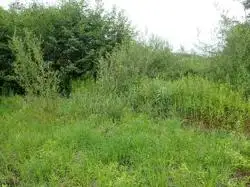 Zdjęcie 1