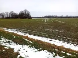 Zdjęcie 1