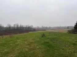 Zdjęcie 1