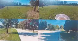 Zdjęcie 1