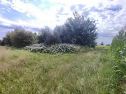 Zdjęcie 1