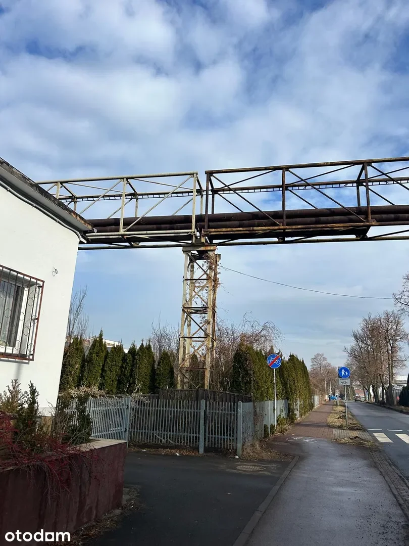 Zdjęcie 1