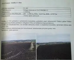 Zdjęcie 1