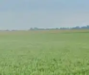 Zdjęcie 1