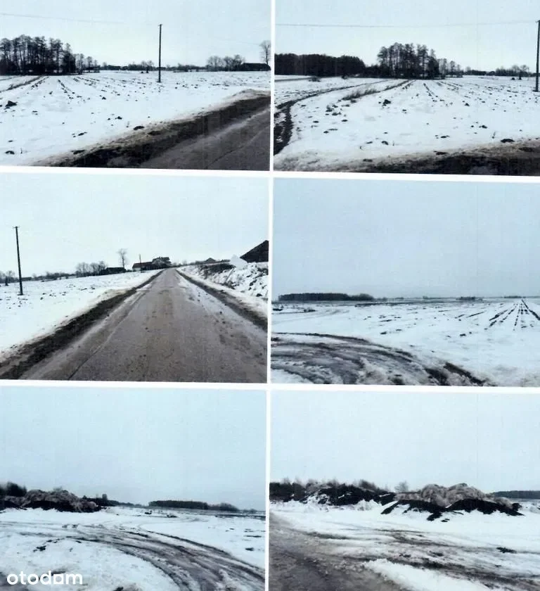 Zdjęcie 1