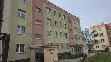 Zdjęcie 1