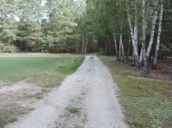 Zdjęcie 1