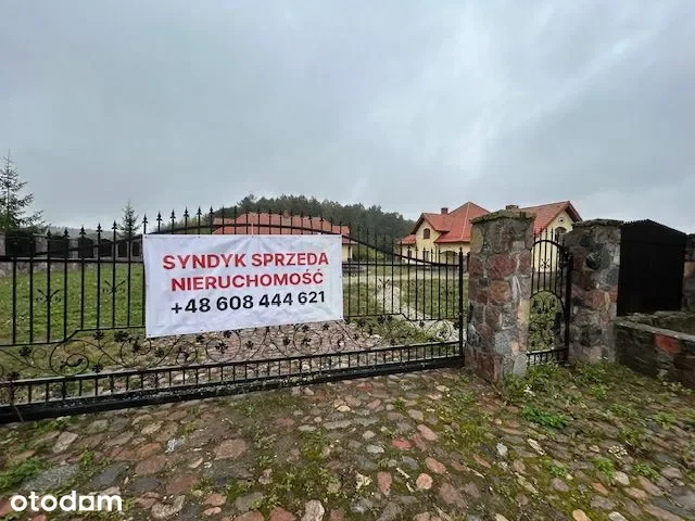 Zdjęcie 1