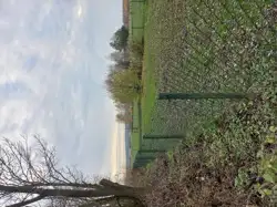 Zdjęcie 1